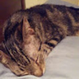 Meet your Posher, Leigh